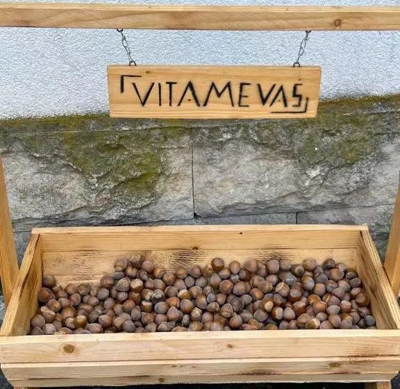 ユースホステル 7rooms