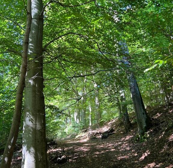 ユースホステル 7rooms