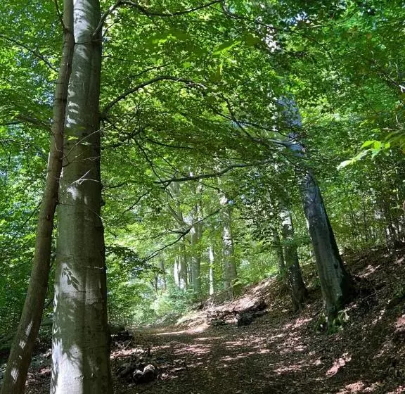 ユースホステル 7rooms