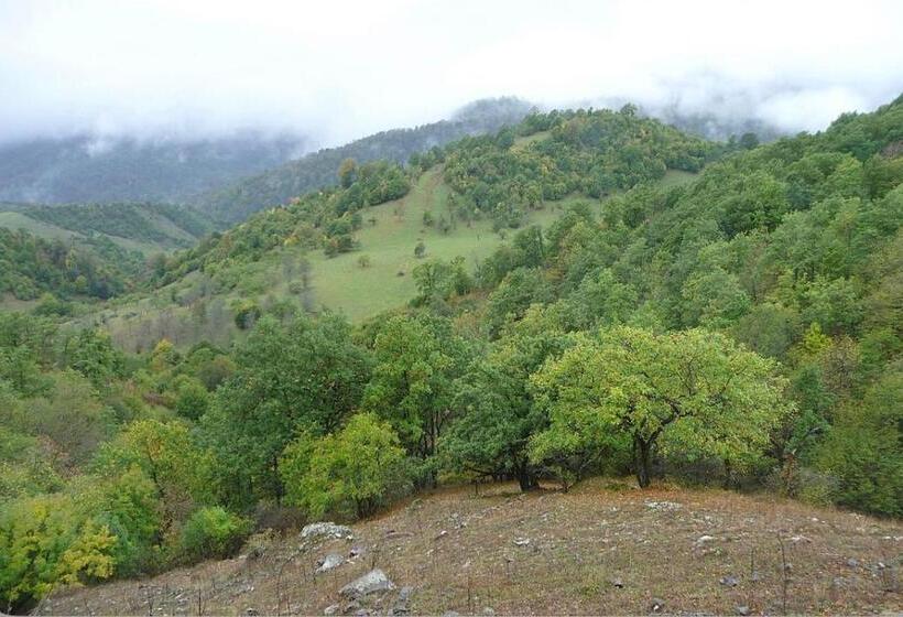 ユースホステル 7rooms