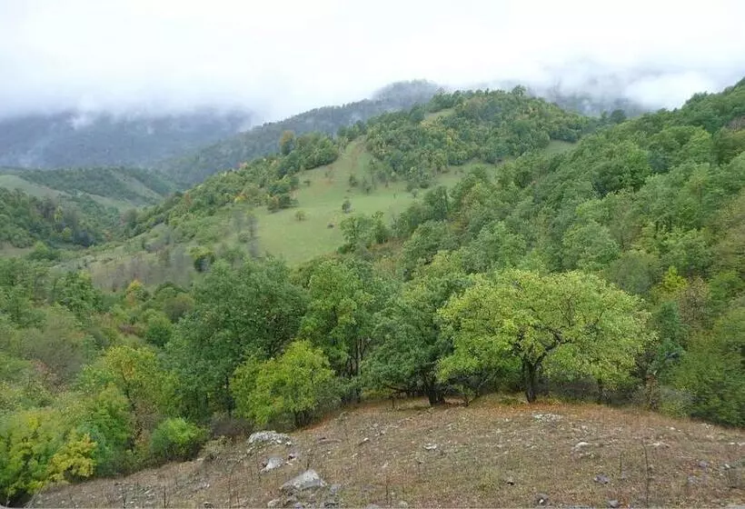 ユースホステル 7rooms