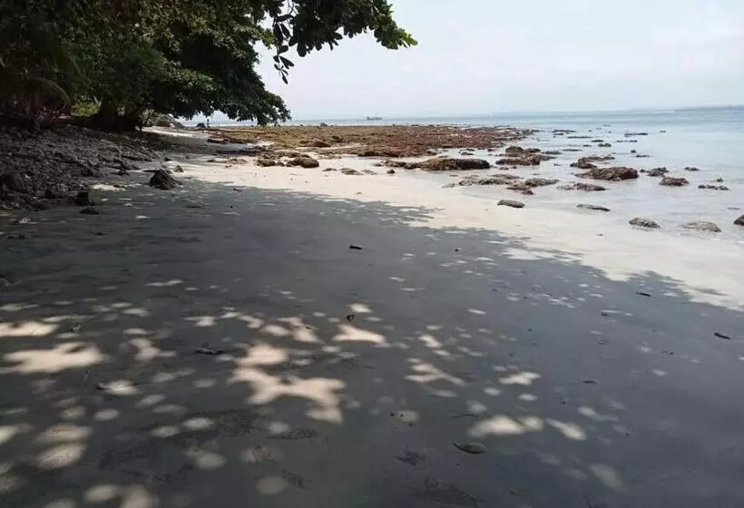 Retkeilymaja Kutnalek Surf Camp Siberut Mentawai Surfing Barrels