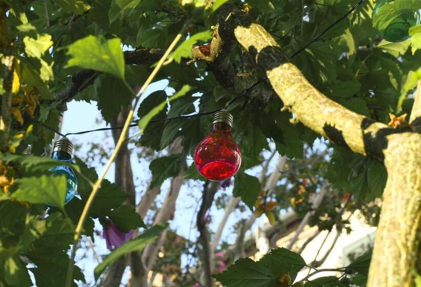 تختخواب و صبحانه Merli S Nest