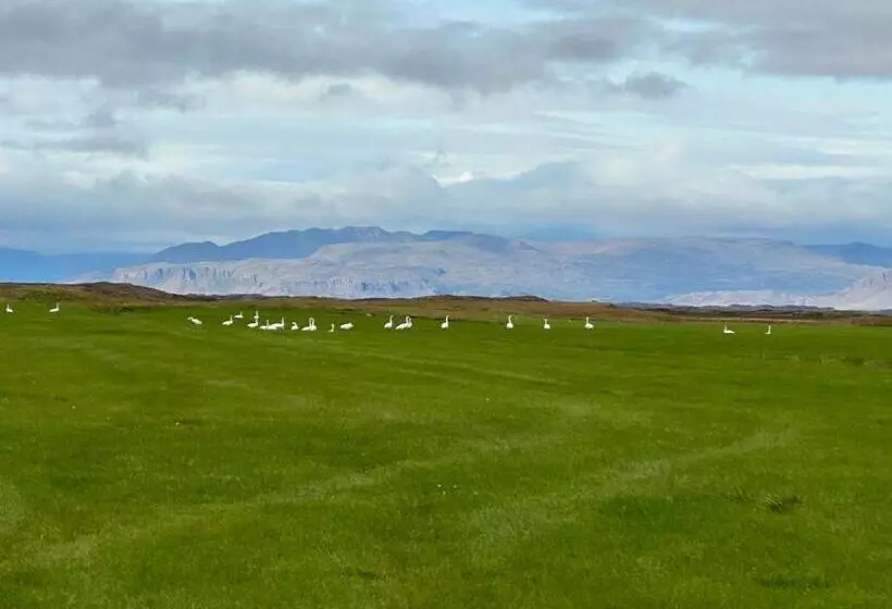 تختخواب و صبحانه Selið Farm Stay   Guesthouse