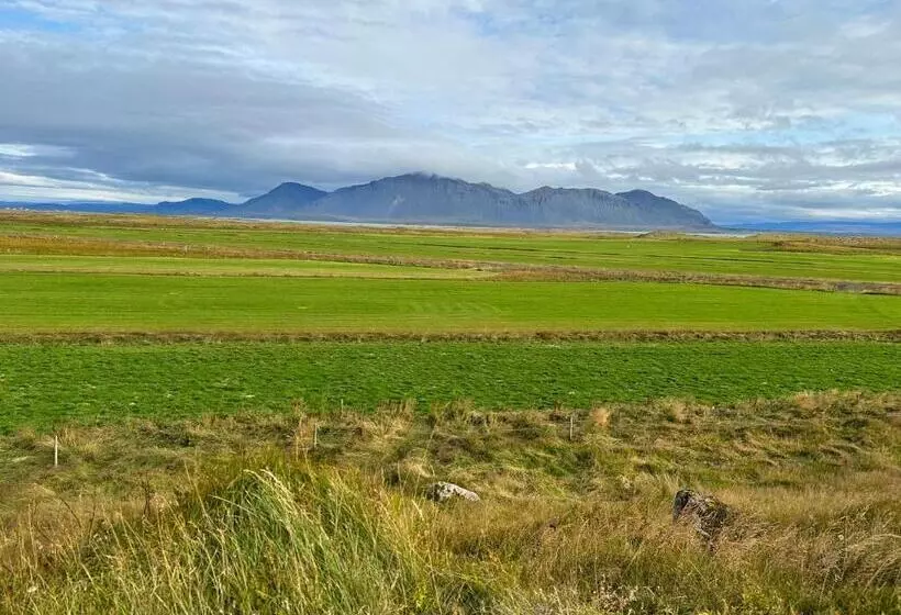 تختخواب و صبحانه Selið Farm Stay   Guesthouse