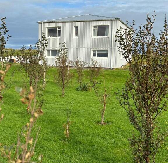 تختخواب و صبحانه Selið Farm Stay Guesthouse