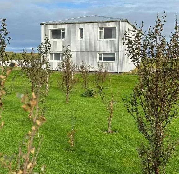 تختخواب و صبحانه Selið Farm Stay   Guesthouse
