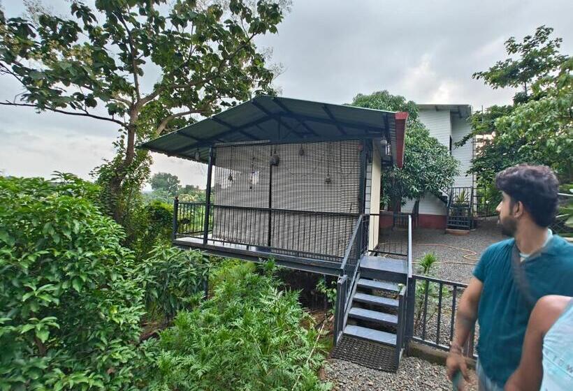 Bed and Breakfast Whitemist By Shellters