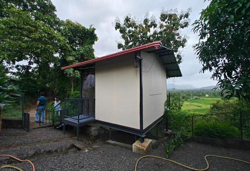 Bed and Breakfast Whitemist By Shellters