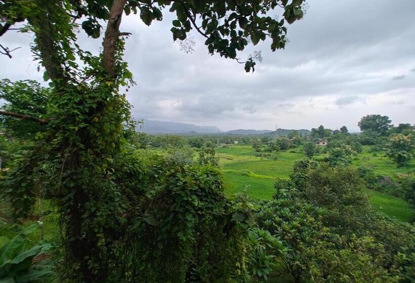 Bed and Breakfast Whitemist By Shellters