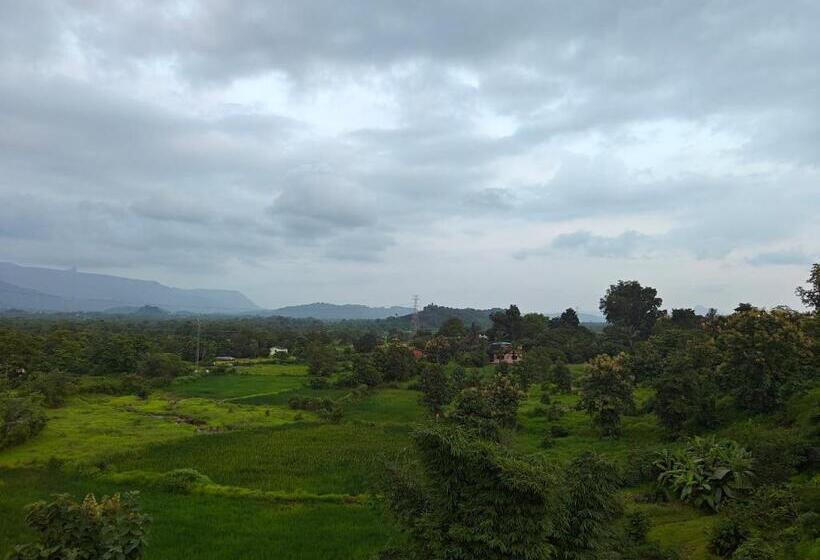 Bed and Breakfast Whitemist By Shellters