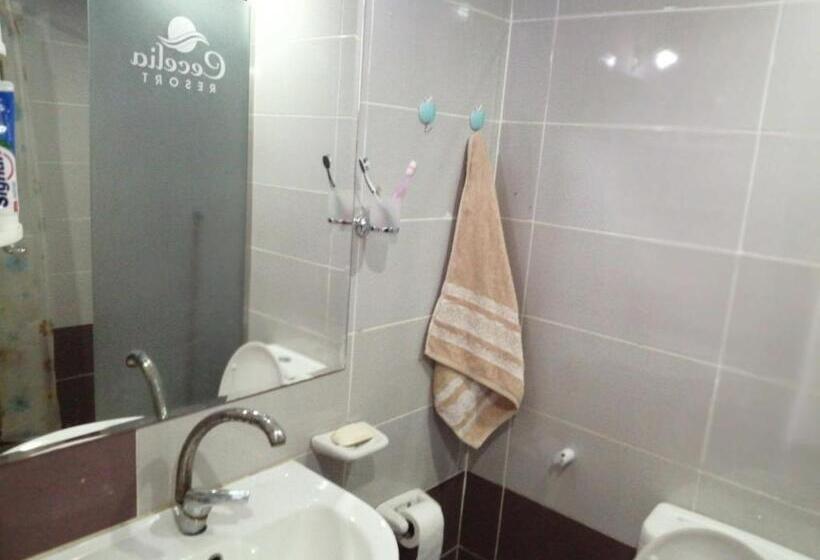 Chalet Front The Beach