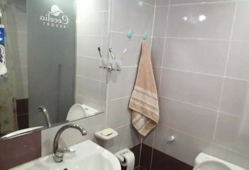 Chalet Front The Beach