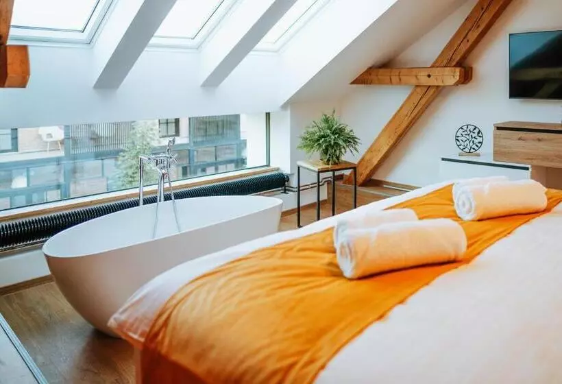 Hotelli Galerie Mlýn žeraviny