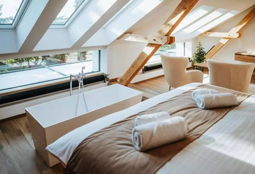 Hotelli Galerie Mlýn žeraviny