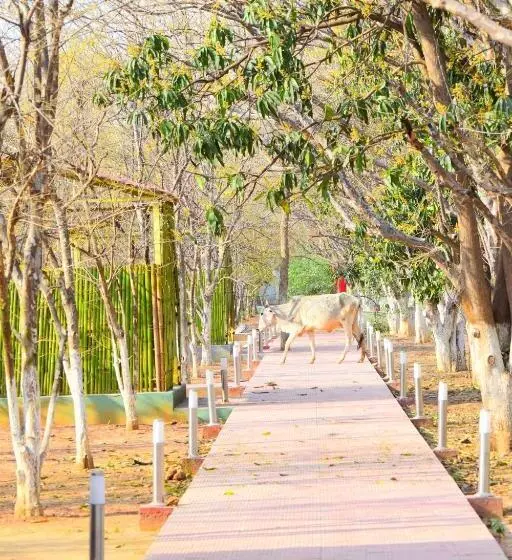 ホテル Matoshree Green Stay Sariska