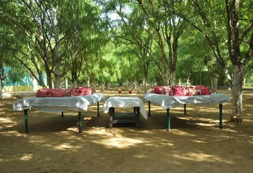 ホテル Matoshree Green Stay Sariska