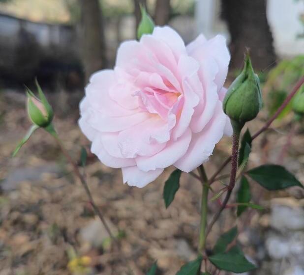 בית מלון כפרי Wild Retreat Yamkeshwar