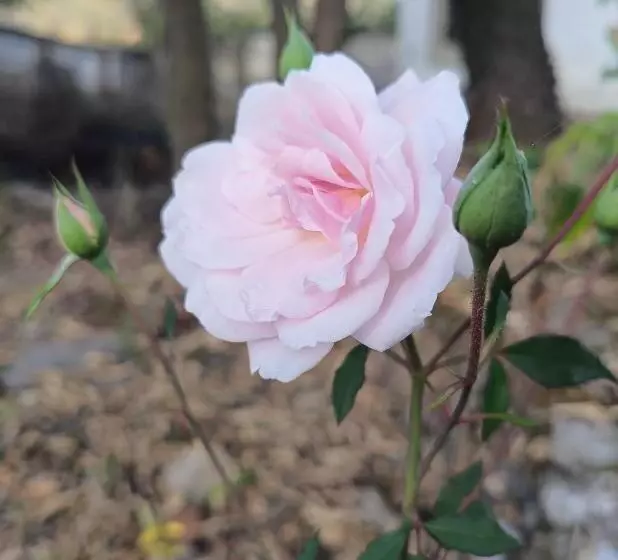 ホテル Wild Retreat Yamkeshwar