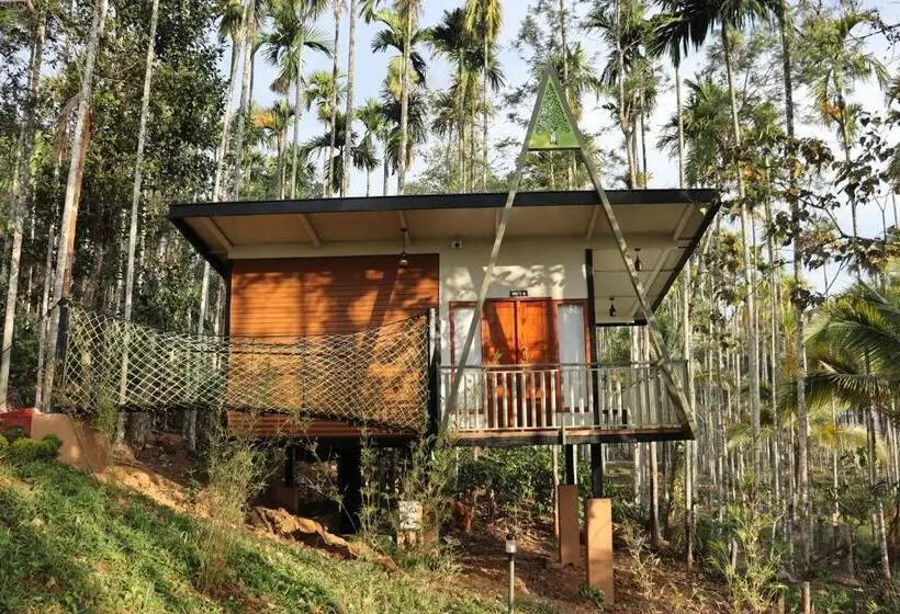 Paddy View Resort