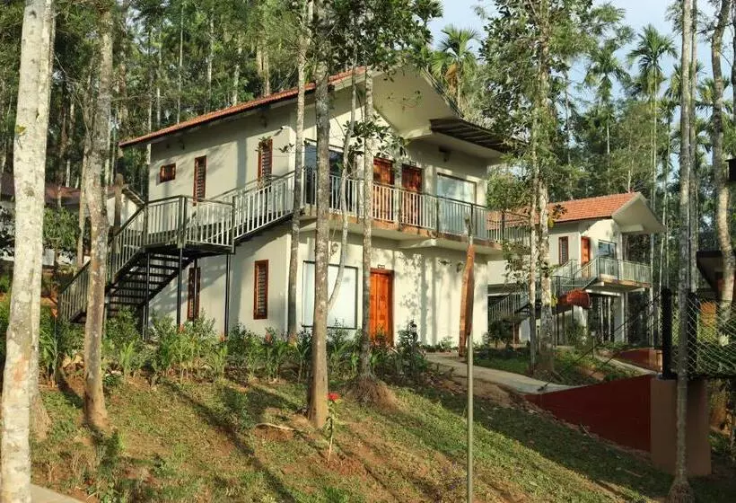 Paddy View Resort