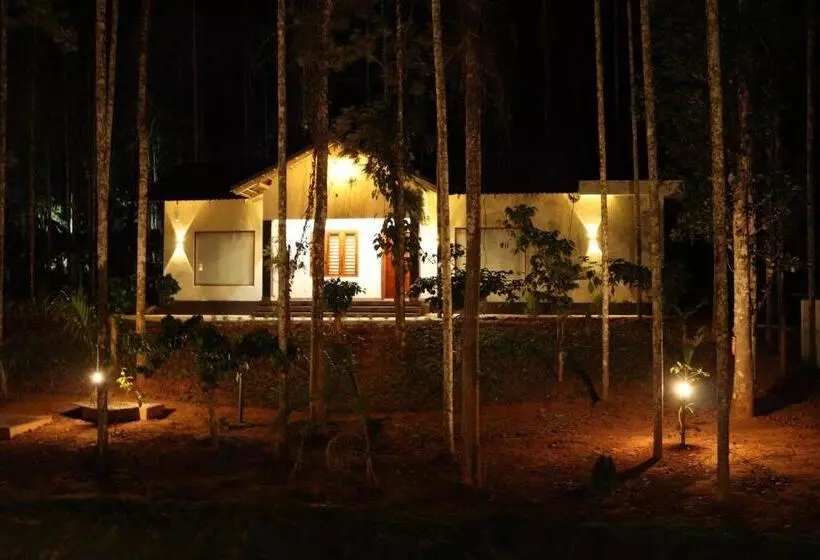 Paddy View Resort