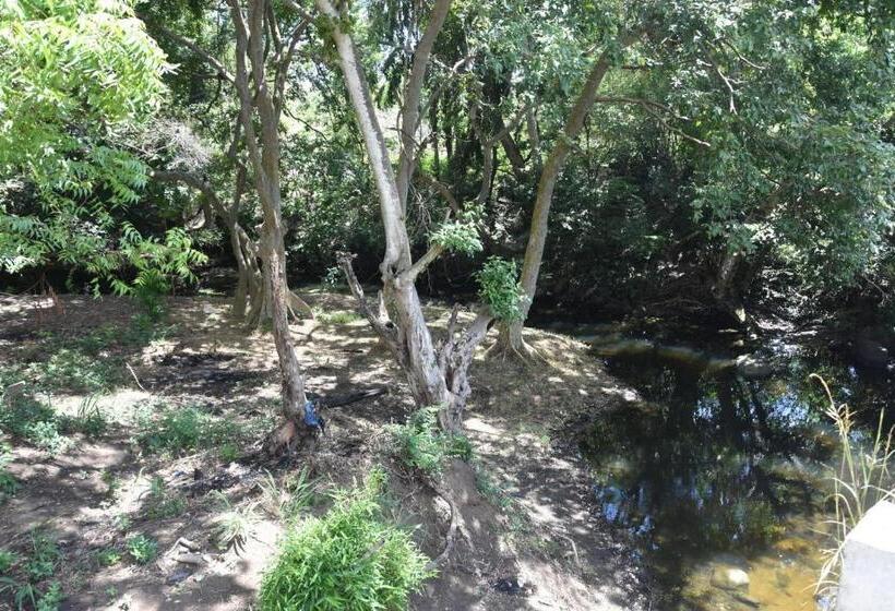 Pensione Camellia Resort