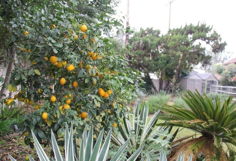 پانسیون Cute Cottage, Walk To The Studios, Pool, Bbq