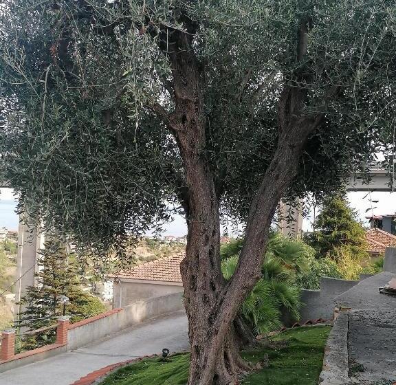 פנסיון La Casa Di Trilly