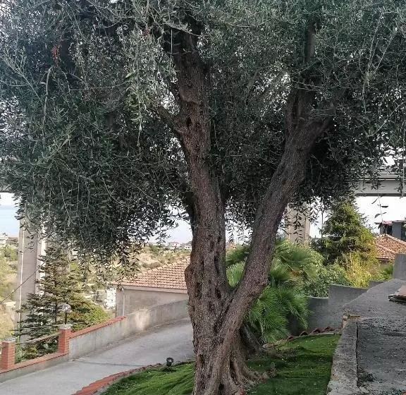 ペンション La Casa Di Trilly