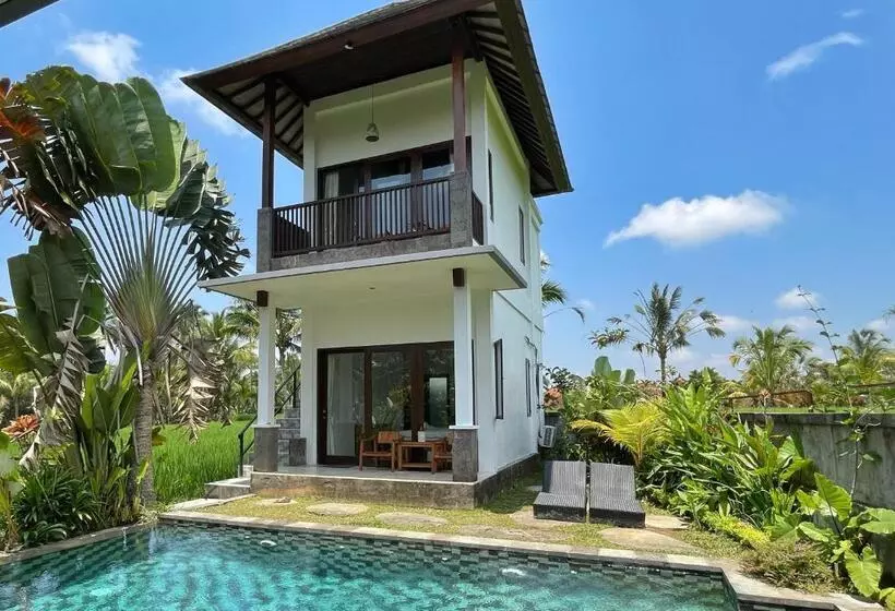 Majatalo Serendipity   Villa Kemuning