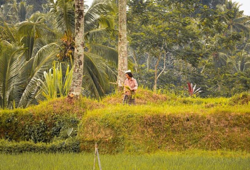 Pension Serendipity Villa Kemuning