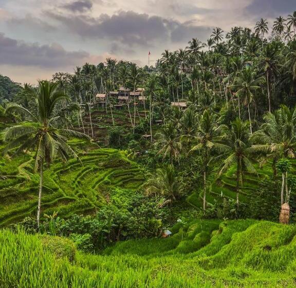 Pension Serendipity Villa Kemuning