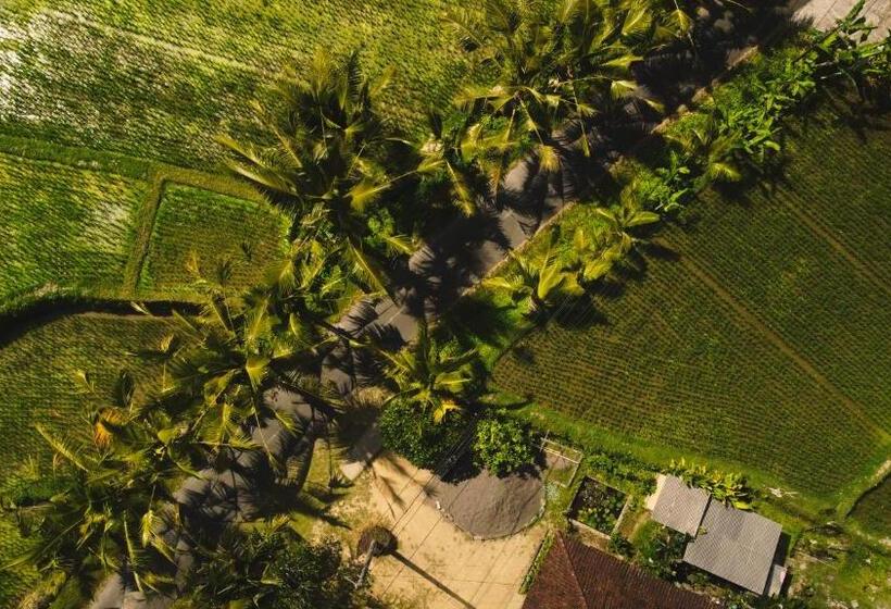 Pension Serendipity Villa Kemuning