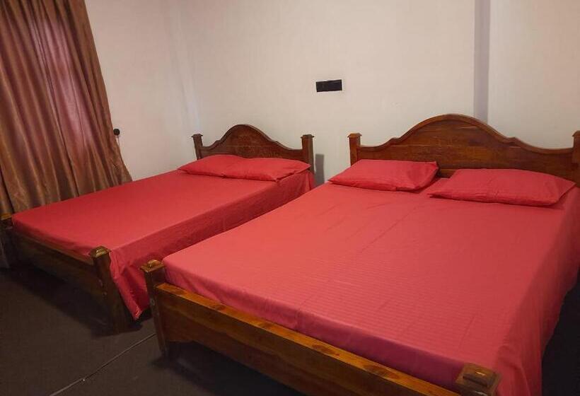 Pensionat The Mount View Guest