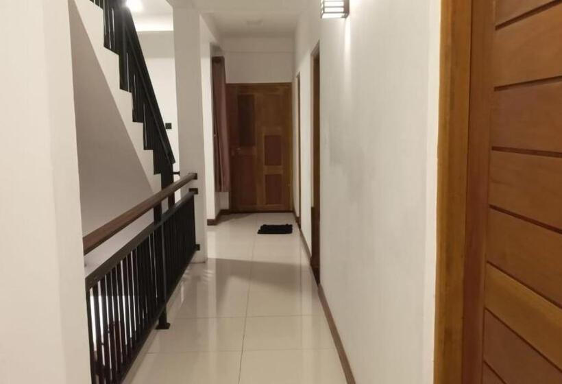 Pensionat The Mount View Guest