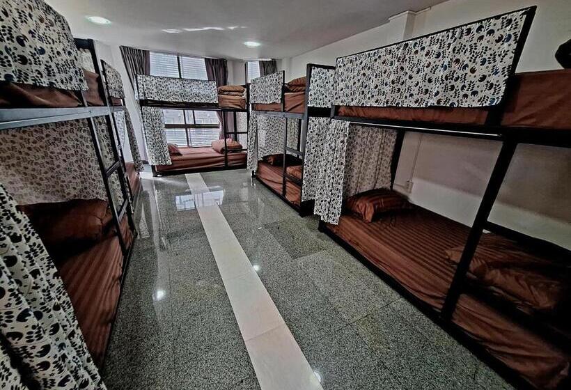 هاستل Cody Backpackers Cnx