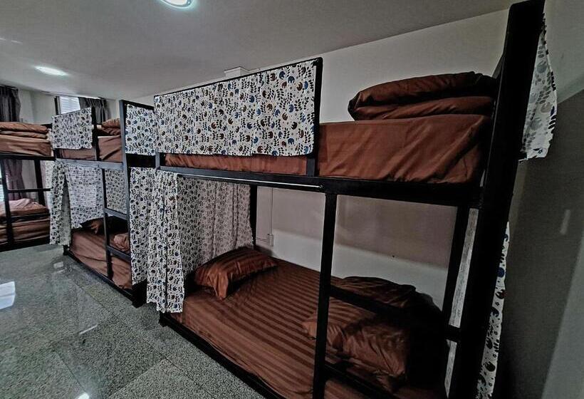 هاستل Cody Backpackers Cnx