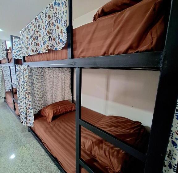 هاستل Cody Backpackers Cnx