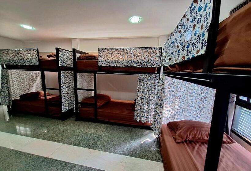 هاستل Cody Backpackers Cnx