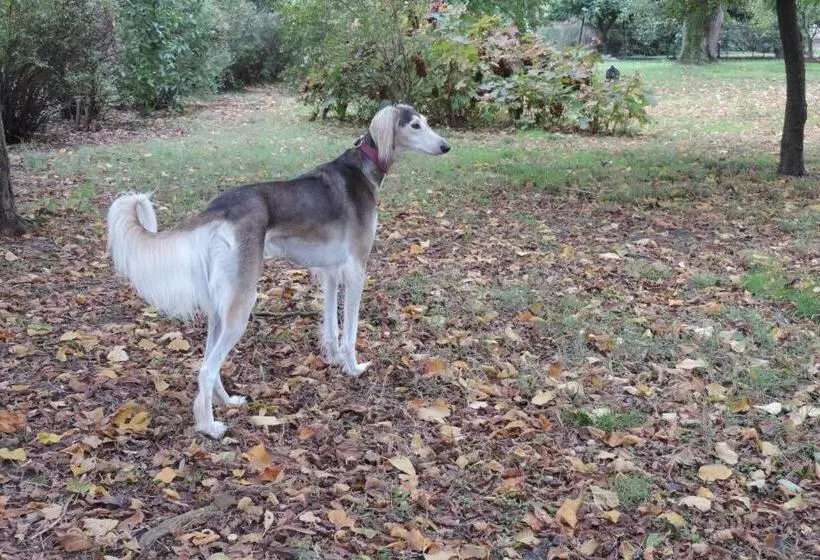 B&b Il Giardino Segreto