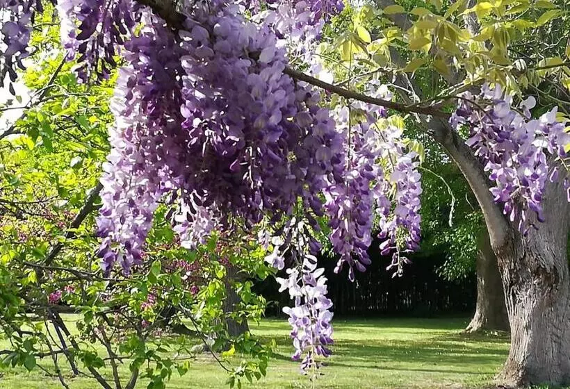 B&b Il Giardino Segreto