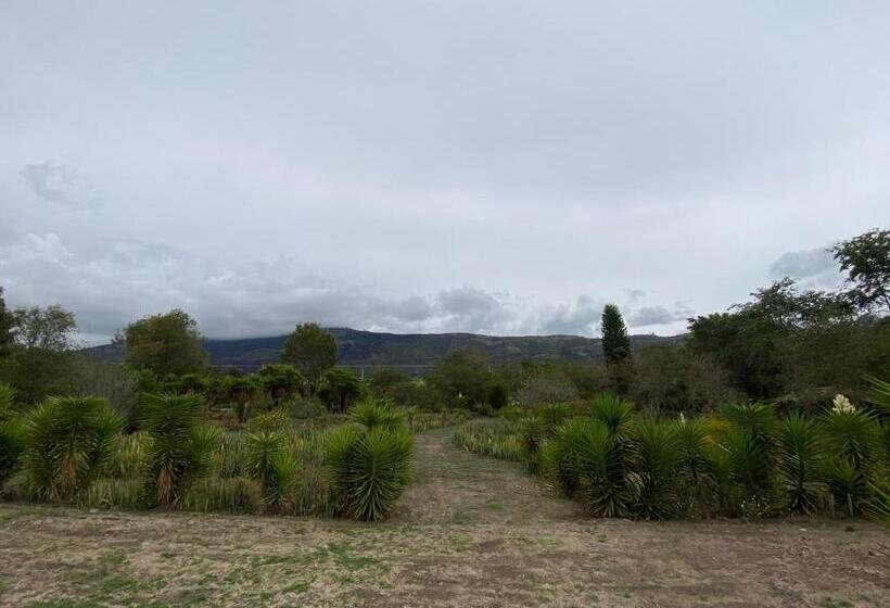 Bed and Breakfast Quinta Paolita Habitación Familiar