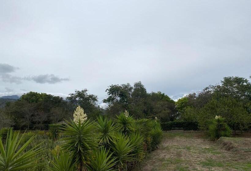 Bed and Breakfast Quinta Paolita Habitación Familiar