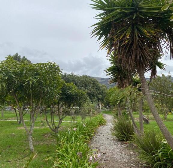 Bed and Breakfast Quinta Paolita Habitación Familiar