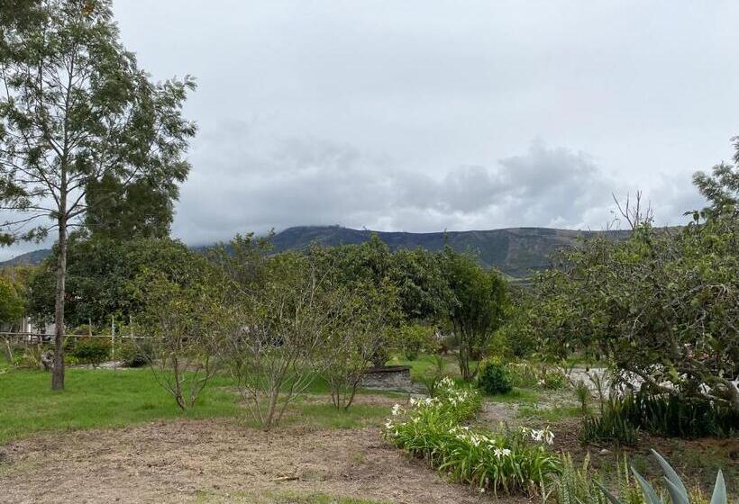 Bed and Breakfast Quinta Paolita Habitación Familiar