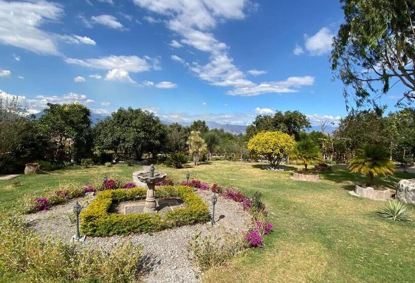 Bed and Breakfast Quinta Paolita Habitación Familiar