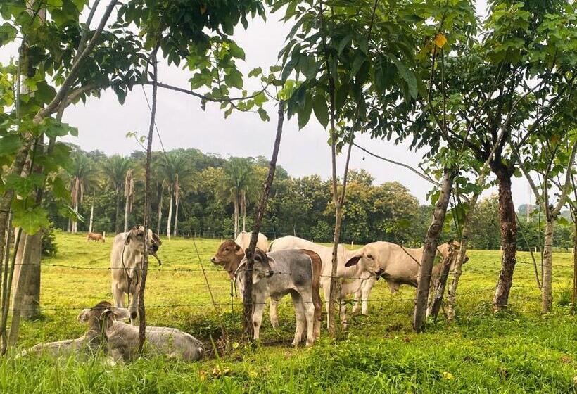 호텔 Brahman Bungalows On Pavones Point