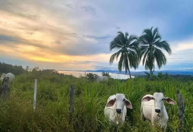 Hotelli Brahman Bungalows On Pavones Point