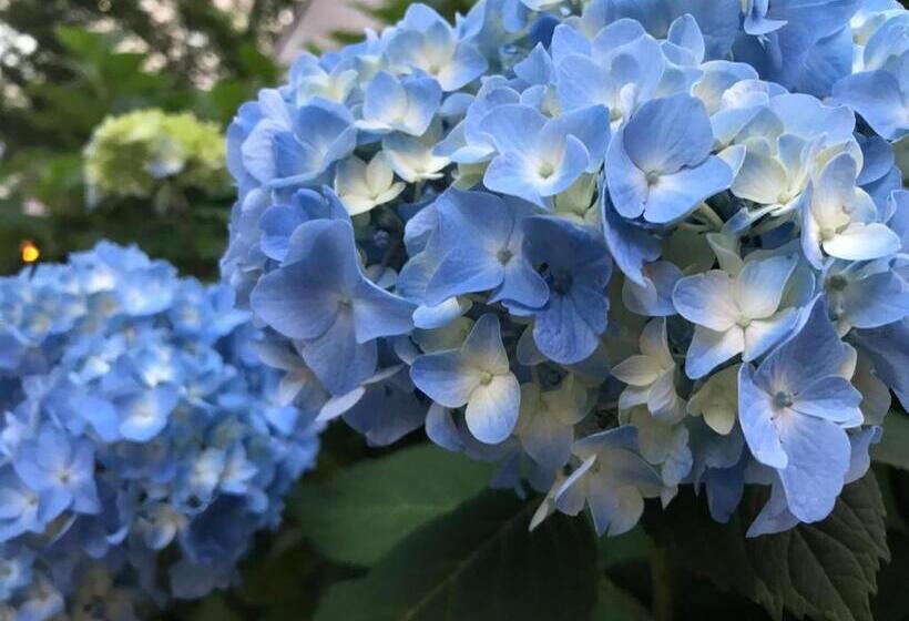 هتل Tetora Spirit Sapporo Vacation Stay 59361v